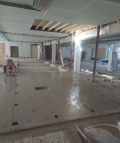 Grote trapsparing zagen Bergen op Zoom